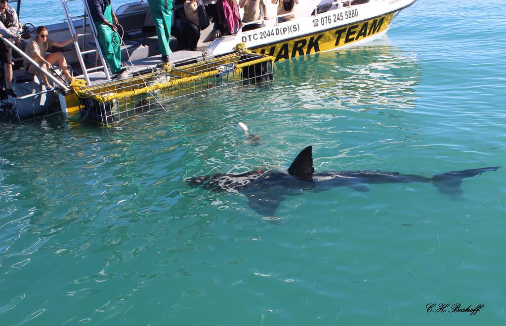 Walkerbay Accommodation Gansbaai Buitenkant foto